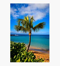Napili Beach Palm Tree Photographic Print