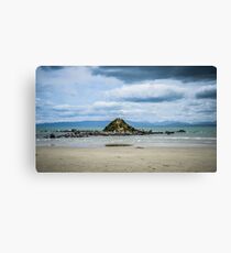 Monkey Island NZ Canvas Print