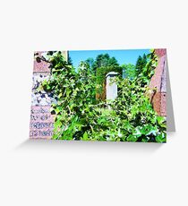 Through the Ivy, Dirleton Churchyard Greeting Card