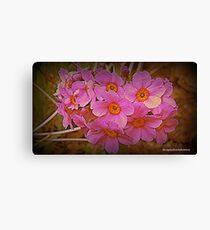 Flowers Canvas Print