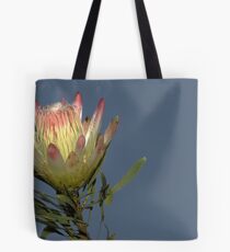 Against The Afternoon Sky Tote Bag