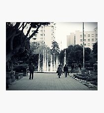 In the park. Photographic Print