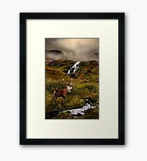 Monarch of the Glen Framed Print