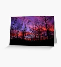 God Painted The Winter With Color Greeting Card