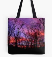 God Painted The Winter With Color Tote Bag