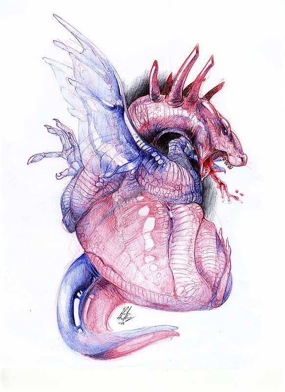 "Dragon Heart" by Morphology Redbubble