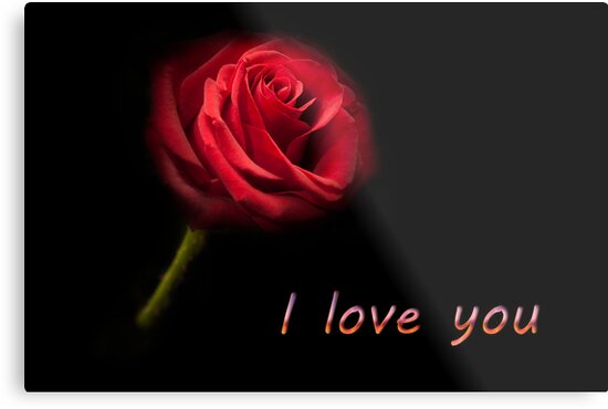 I Love You Single Red Rose Metal Prints By Simon West Redbubble