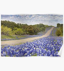 Texas Bluebonnet Highway in the Texas Hill Country Poster