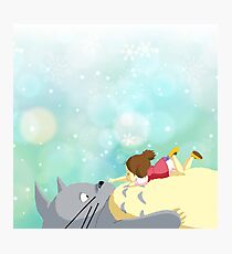 Totoro and Mei Photographic Print