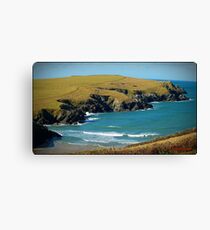 " Polly Joke" Canvas Print