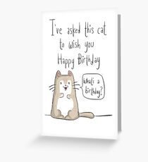 Cat birthday Greeting Card