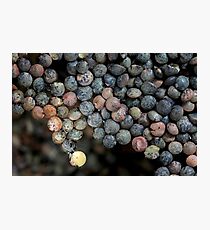 floating continent Photographic Print