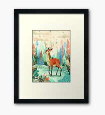 Deer Framed Print