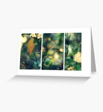 Daydream Believer Greeting Card