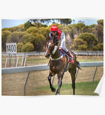Returning to scale Poster