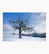 Winter Landscapes Photographic Print