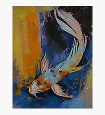 Sanshoku Koi Photographic Print