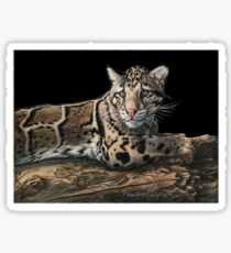 Elusive Sticker
