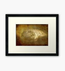 Sneak up Framed Print