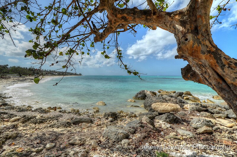 Ocean View At Caves Village In Nassau The Bahamas By Jeremy Lavender Photography Redbubble