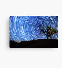 Stunning Circular Star Trails Above Joshua Tree Desert Leinwanddruck