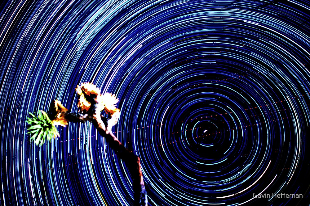 "Epic Star Trails Vortex Over Joshua Tree. Polaris in Frame." by Gavin