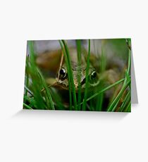 Froglet Keeking Greeting Card