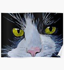 Tuxedo Cat Poster