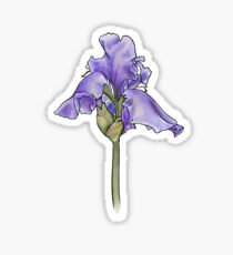 Iris Sticker