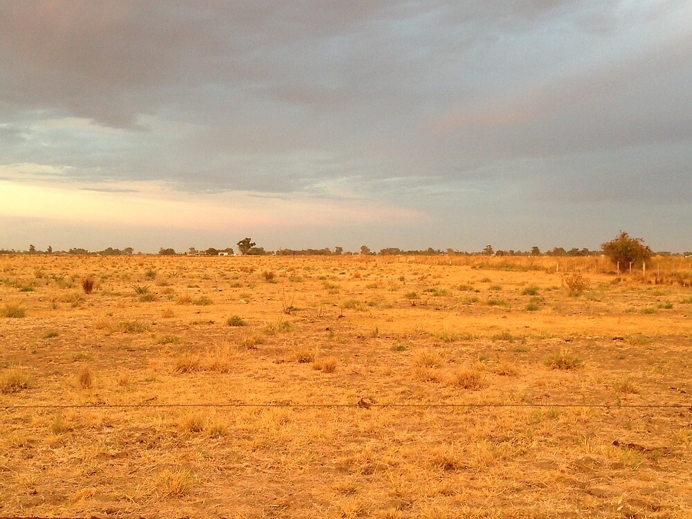 "A Wide Brown Land (for me)" by brendanscully Redbubble