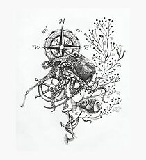 Octopus's garden Photographic Print