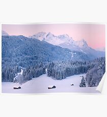 Pristine Poster