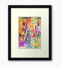 Elephant Framed Print