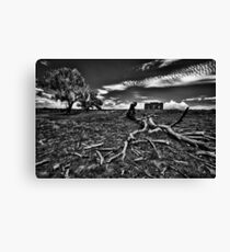 Desolate Canvas Print