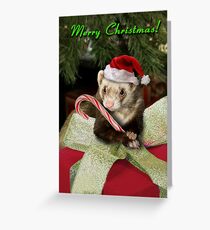 Christmas Ferret Greeting Card