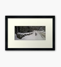 Winter Scene Framed Print