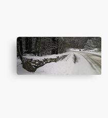 Winter Scene Canvas Print