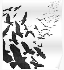 Flock of Birds in Flight Poster