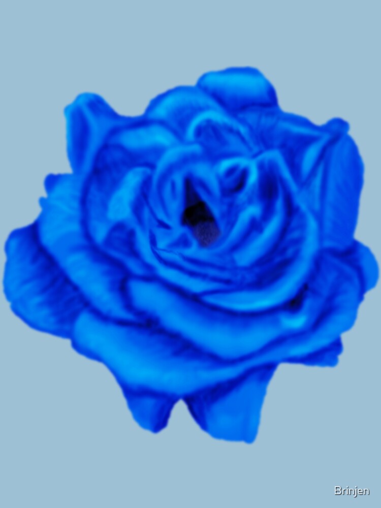 Rose by Brinjen