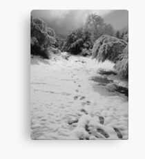 Tracks Canvas Print