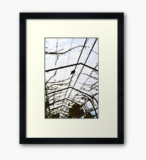 Birds on a Wire Framed Print