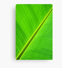 Banana Leaf Sabre Leinwanddruck