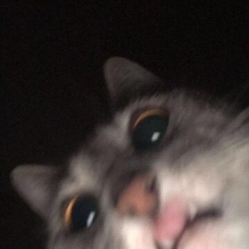 Funny Cat Meme Blur | Pullover Hoodie