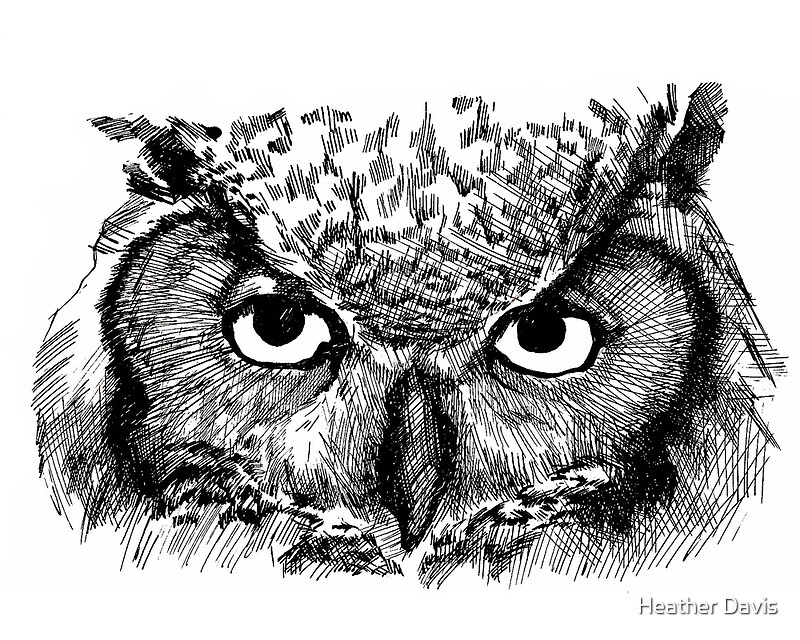 "Great Horned Owl" by Heather Davis | Redbubble