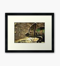 Chameleon Framed Print