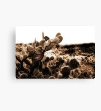 Aruba Vastness Canvas Print