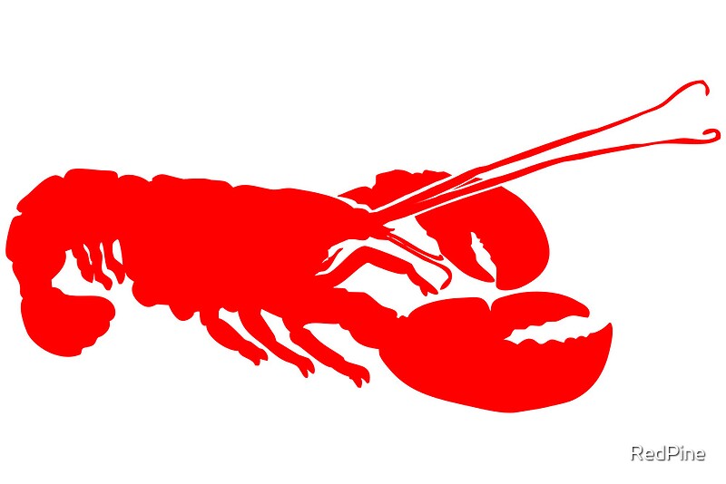 Download "Lobster Outline" Canvas Prints by RedPine | Redbubble