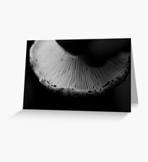 Shroom Greeting Card