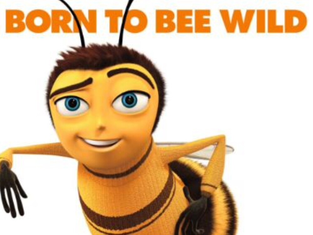 Image result for born to bee wild