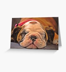 Sleeping puppy Greeting Card